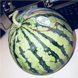 网红最新吃瓜,揭秘娱乐圈幕后真相  第2张