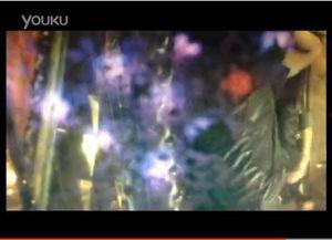 潜规视频在线观看,在线观看带你领略神秘世界  第2张